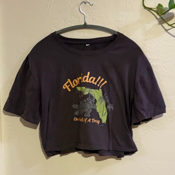 Florida Cropped T-Shirt (3X, Gray – fits closer to XL/2X) - Picture 1 of 3